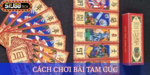 Cách Chơi Bài Tam Cúc Đúng Luật, Thắng Lớn Từ Chuyên Gia 1 Cách Chơi Bài Tam Cúc