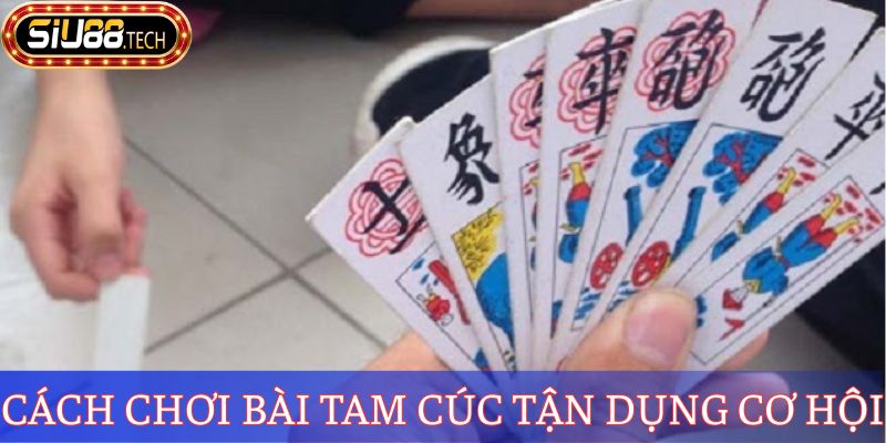 Cách Chơi Bài Tam Cúc Đúng Luật, Thắng Lớn Từ Chuyên Gia 4 Cách chơi bài Tam Cúc tận dụng cơ hội