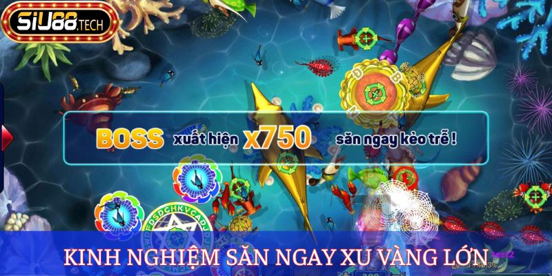 Kinh nghiệm săn ngay xu vàng lớn