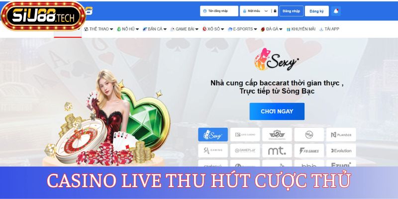 Casino live thu hút cược thủ