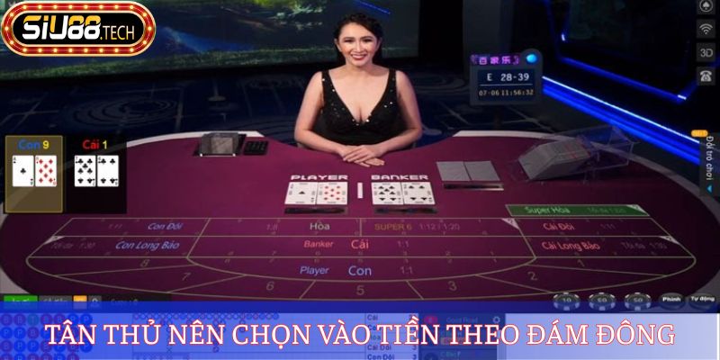 Tân thủ nên chọn vào tiền theo đám đông
