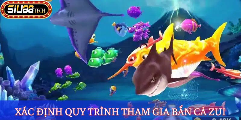 Xác định quy trình tham gia bắn cá zui
